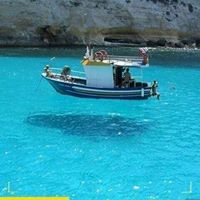 عيسى العوام