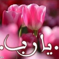 بسام محبوب القباطي