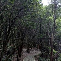 Jonathan Christopher