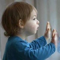 صفوت المنشاوى