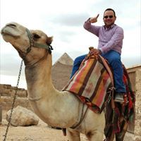 Mohammed Radwan