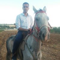 Ashraf Alshareef