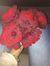 Rahaf J...