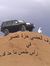 تركي ال...