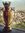 Maged G...