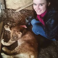 Dominika Mišková Hudáková