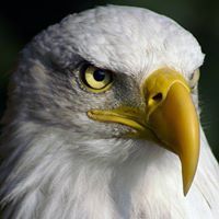 رجب عبد الوارث