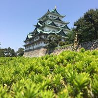 Э. Тэмүүлэн