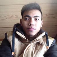 Saga Daun
