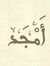 Amjed Z...