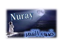 Wael Yusif