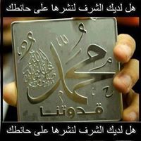 ابوبكر احمد