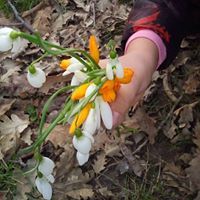 Искра Колева