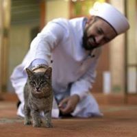 محمود مخزوم