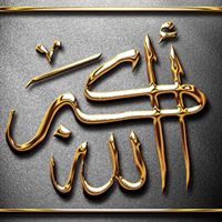 سلمى المسلمة