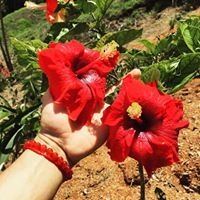 JuanJo Barrantes Bolaños