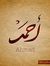 Ahmad Safi