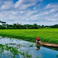 Mohammad Kamruzzaman