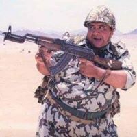 Walid A Elgawad