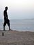 Mostafa...