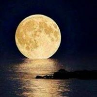 قائد أفكاري