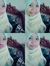 Laelaa ...