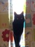 Eleanor