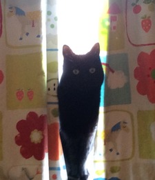 Eleanor