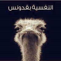 تغريد الكناريا