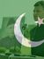 Ahmed N...
