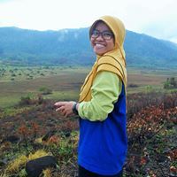 Roisa Mscdr