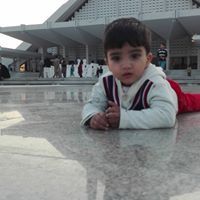 Adv Anum