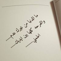 توشي محمد طه