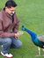 Waqar Q...