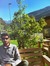 Bassim Algashami