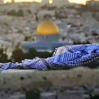 Mahmoud Abed Alwahab