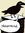 Magiqa | 6 comments