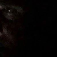 David Potter