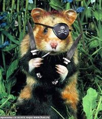 Роман Хабибуллин