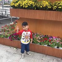 Trần Long