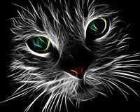 Angela Rector Catton