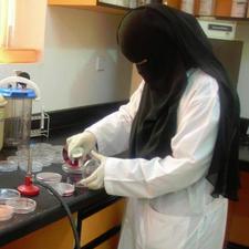 محبة الرحمن