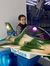 Nayef B...