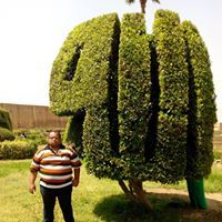 محمد العلاقمى