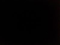 محمد عادل الإمام