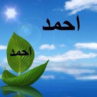 Ahmed Ali