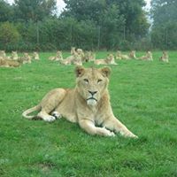 catherine mary cornell