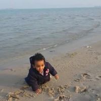 حافظ الأمين