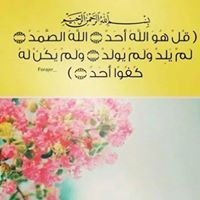 عبدالرحمن الشحات