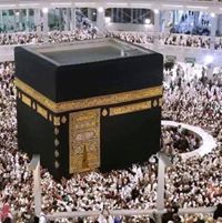 عبدالعزيز عبدالعزيز